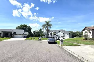 3904 Hidden Spring Pl, Valrico, FL 33596 - Photo 51