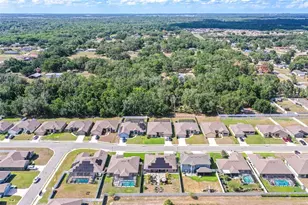 132 Heritage Park Ln, Mulberry, FL 33860 - Photo 41