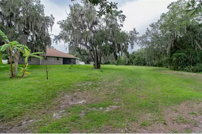 2602 Blackwater Oaks Lane, Mulberry, FL 33860 - Photo 41