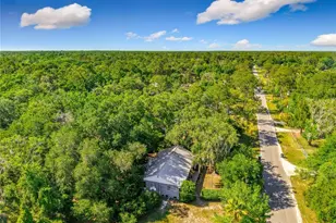 1338 St Nicholas Ave, Christmas, FL 32709 - Photo 3