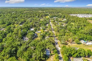 1338 St Nicholas Ave, Christmas, FL 32709 - Photo 43