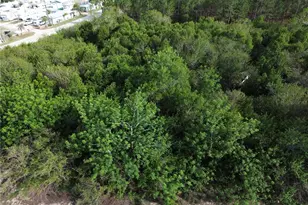 3055 Sr-17 N, Sebring, FL 33870 - Photo 1