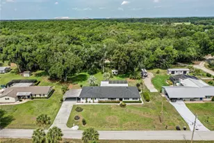 395 Peace River Park Rd, Bartow, FL 33830 - Photo 5