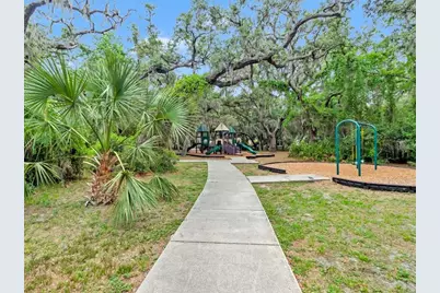 16033 Mulberrypark Circle, Lithia, FL 33547 - Photo 71