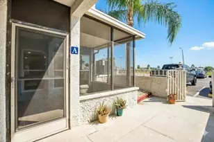 337 Rex Pl, Madeira Beach, FL 33708 - Photo 5