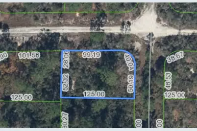 284 Rainbow Drive, Lake Placid, FL 33852 - Photo 1