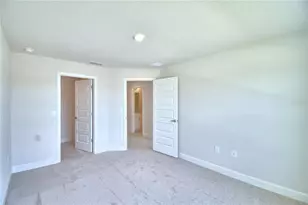4270 Juliana Lake Dr, Auburndale, FL 33823 - Photo 59
