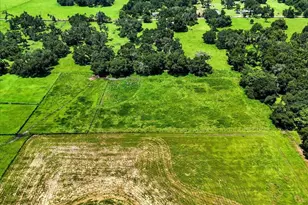 39410 Sparkman Rd, Dade City, FL 33525 - Photo 23