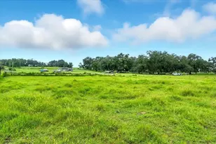 39410 Sparkman Rd, Dade City, FL 33525 - Photo 9