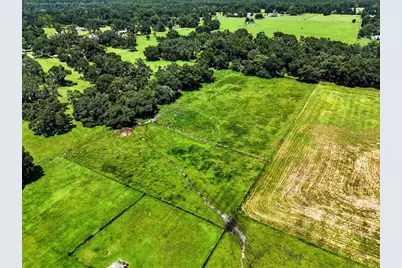 39410 Sparkman Road, Dade City, FL 33525 - Photo 25