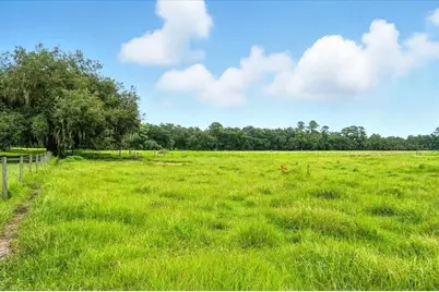 39410 Sparkman Road, Dade City, FL 33525 - Photo 7