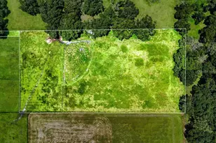 39410 Sparkman Rd, Dade City, FL 33525 - Photo 19
