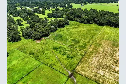 39410 Sparkman Road, Dade City, FL 33525 - Photo 21