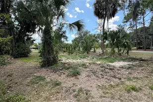 2898 Hammock Dr, Plant City, FL 33566 - Photo 33