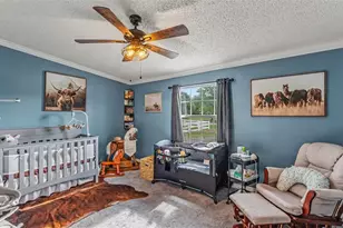 4740 Pheasant Dr, Mulberry, FL 33860 - Photo 29