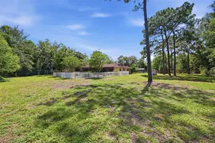 6403 Chiswick Ct, New Port Richey, FL 34655 - Photo 73