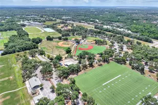 16302 Bayberry View Dr, Lithia, FL 33547 - Photo 75