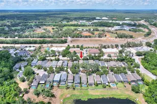 16302 Bayberry View Dr, Lithia, FL 33547 - Photo 67