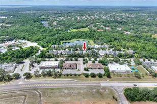 16302 Bayberry View Dr, Lithia, FL 33547 - Photo 83