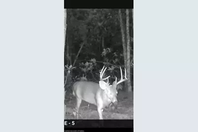 12000 Us-98, Sebring, FL 33876 - Photo 5