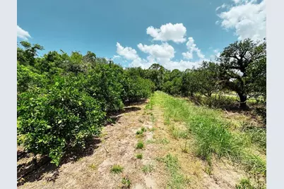 115 Heinley Road, Lake Placid, FL 33852 - Photo 29