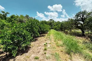 115 Heinley Rd, Lake Placid, FL 33852 - Photo 29
