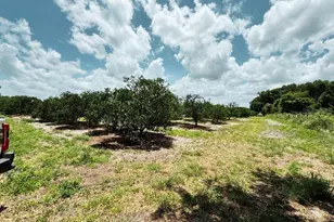 115 Heinley Rd, Lake Placid, FL 33852 - Photo 31