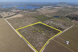 8961 County Rd 17 S, Sebring, FL 33876 - Photo 1