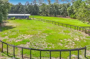 8338 Handcart Rd, Wesley Chapel, FL 33545 - Photo 3