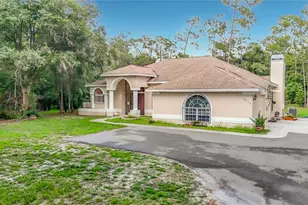 8338 Handcart Rd, Wesley Chapel, FL 33545 - Photo 19