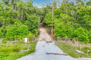 8338 Handcart Rd, Wesley Chapel, FL 33545 - Photo 27