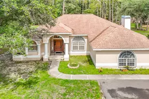 8338 Handcart Rd, Wesley Chapel, FL 33545 - Photo 5