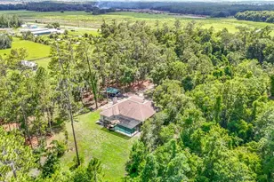 8338 Handcart Rd, Wesley Chapel, FL 33545 - Photo 61