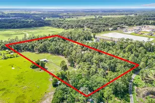 8338 Handcart Rd, Wesley Chapel, FL 33545 - Photo 69
