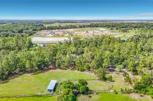 8338 Handcart Rd, Wesley Chapel, FL 33545 - Photo 89