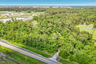 8338 Handcart Rd, Wesley Chapel, FL 33545 - Photo 17