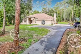 8338 Handcart Rd, Wesley Chapel, FL 33545 - Photo 3