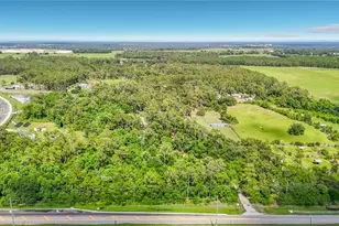 8338 Handcart Rd, Wesley Chapel, FL 33545 - Photo 23