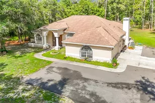 8338 Handcart Rd, Wesley Chapel, FL 33545 - Photo 3