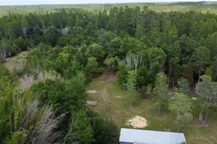 136 Creekwood Run, Lakeland, FL 33809 - Photo 87