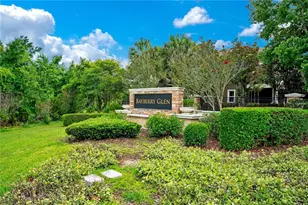 16308 Bayberry View Dr, Lithia, FL 33547 - Photo 41