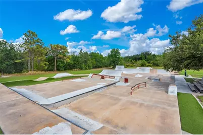 16308 Bayberry View Drive, Lithia, FL 33547 - Photo 45
