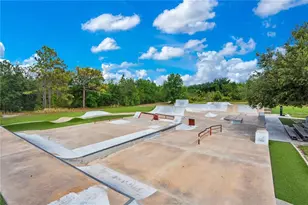 16308 Bayberry View Dr, Lithia, FL 33547 - Photo 45