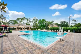 16308 Bayberry View Dr, Lithia, FL 33547 - Photo 43