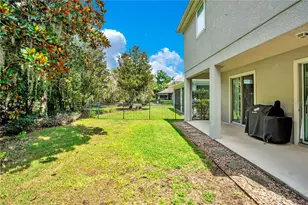 16308 Bayberry View Dr, Lithia, FL 33547 - Photo 39