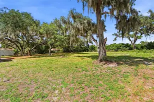 1006 Robinson Rd, Plant City, FL 33563 - Photo 61