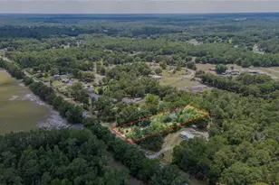 12614 Rockridge Rd, Lakeland, FL 33809 - Photo 9