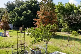 231 Willow St, Lake Wales, FL 33859 - Photo 25