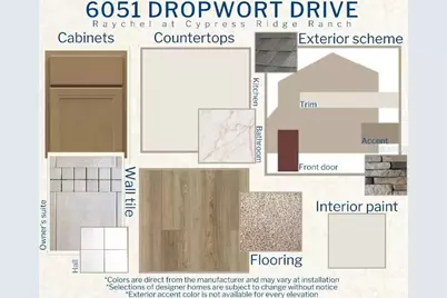 6051 Dropwort Drive, Wimauma, FL 33598 - Photo 3