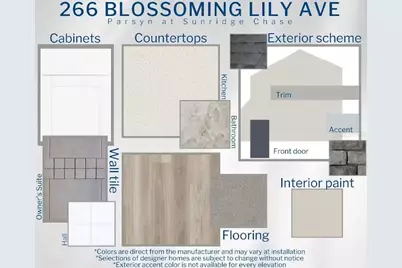 266 Blossoming Lily Avenue, Ruskin, FL 33570 - Photo 3